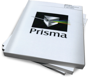 Prisma - Silvio M. Rodríguez Carrillo