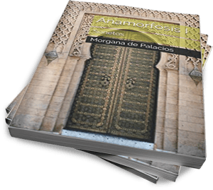 Anamorfosis I en Amazon